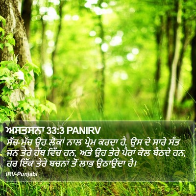 ਅਸਤਸਨਾ 33:3 PANIRV Bible Verse Image