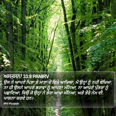 ਅਸਤਸਨਾ 33:9 PANIRV Bible Verse Image