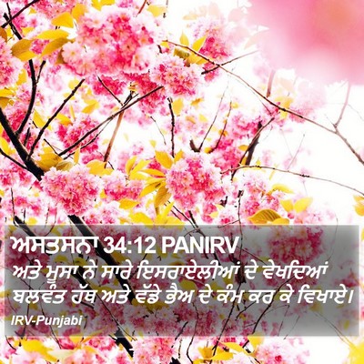 ਅਸਤਸਨਾ 34:12 PANIRV Bible Verse Image
