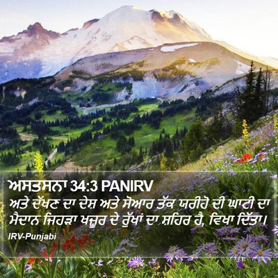 ਅਸਤਸਨਾ 34:3 PANIRV Bible Verse Image