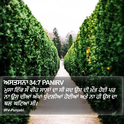 ਅਸਤਸਨਾ 34:7 PANIRV Bible Verse Image