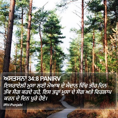 ਅਸਤਸਨਾ 34:8 PANIRV Bible Verse Image