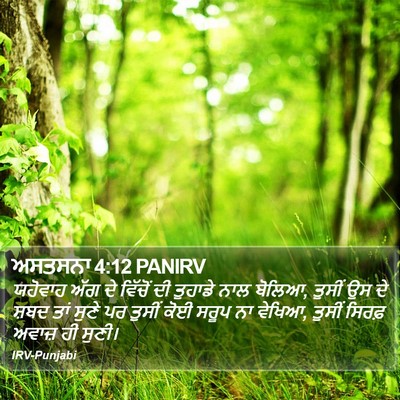 ਅਸਤਸਨਾ 4:12 PANIRV Bible Verse Image