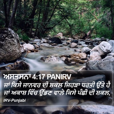 ਅਸਤਸਨਾ 4:17 PANIRV Bible Verse Image