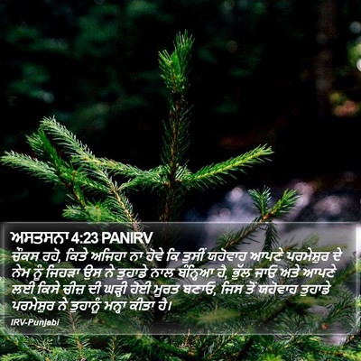 ਅਸਤਸਨਾ 4:23 PANIRV Bible Verse Image