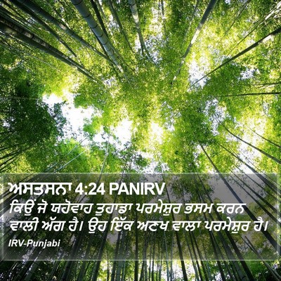 ਅਸਤਸਨਾ 4:24 PANIRV Bible Verse Image