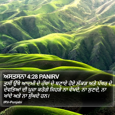 ਅਸਤਸਨਾ 4:28 PANIRV Bible Verse Image