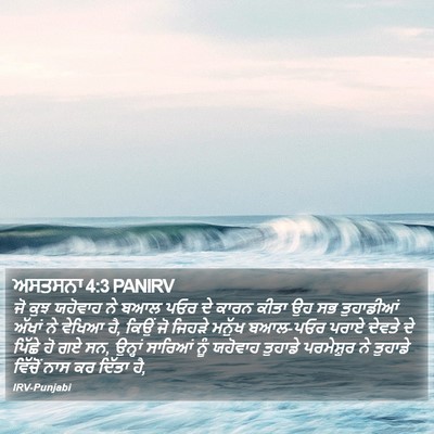 ਅਸਤਸਨਾ 4:3 PANIRV Bible Verse Image