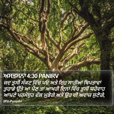 ਅਸਤਸਨਾ 4:30 PANIRV Bible Verse Image