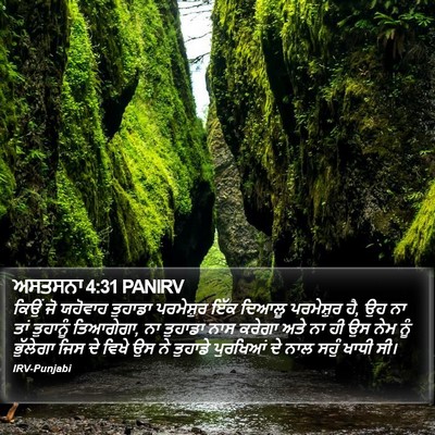 ਅਸਤਸਨਾ 4:31 PANIRV Bible Verse Image