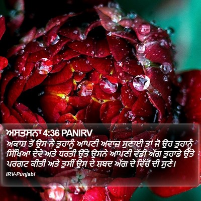 ਅਸਤਸਨਾ 4:36 PANIRV Bible Verse Image