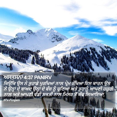 ਅਸਤਸਨਾ 4:37 PANIRV Bible Verse Image