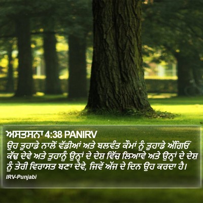 ਅਸਤਸਨਾ 4:38 PANIRV Bible Verse Image
