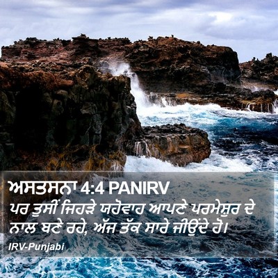 ਅਸਤਸਨਾ 4:4 PANIRV Bible Verse Image