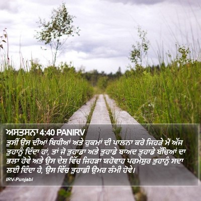 ਅਸਤਸਨਾ 4:40 PANIRV Bible Verse Image