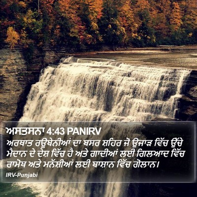 ਅਸਤਸਨਾ 4:43 PANIRV Bible Verse Image