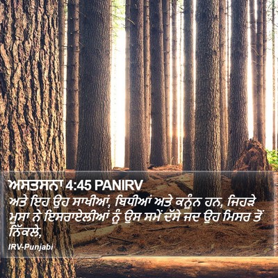 ਅਸਤਸਨਾ 4:45 PANIRV Bible Verse Image