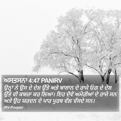 ਅਸਤਸਨਾ 4:47 PANIRV Bible Verse Image