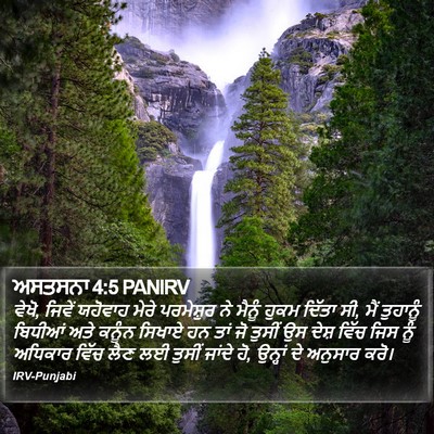 ਅਸਤਸਨਾ 4:5 PANIRV Bible Verse Image