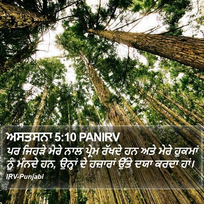 ਅਸਤਸਨਾ 5:10 PANIRV Bible Verse Image
