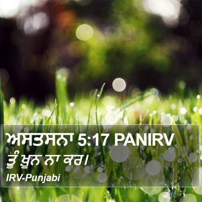 ਅਸਤਸਨਾ 5:17 PANIRV Bible Verse Image