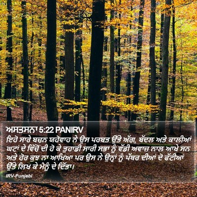 ਅਸਤਸਨਾ 5:22 PANIRV Bible Verse Image