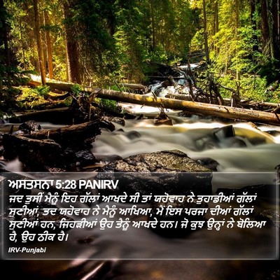 ਅਸਤਸਨਾ 5:28 PANIRV Bible Verse Image