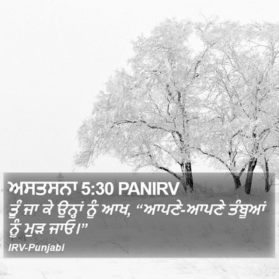 ਅਸਤਸਨਾ 5:30 PANIRV Bible Verse Image