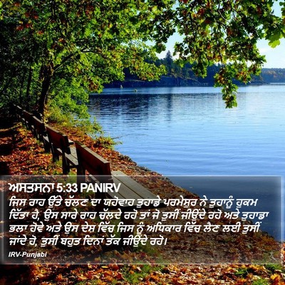 ਅਸਤਸਨਾ 5:33 PANIRV Bible Verse Image