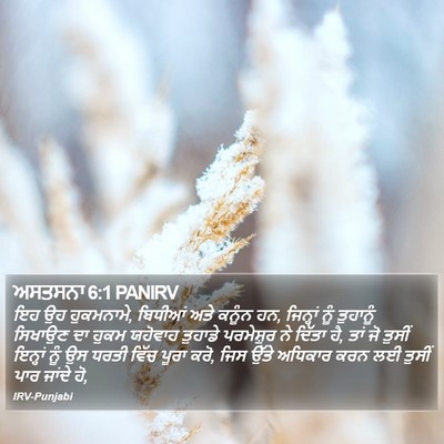 ਅਸਤਸਨਾ 6:1 PANIRV Bible Verse Image
