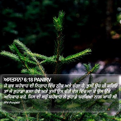 ਅਸਤਸਨਾ 6:18 PANIRV Bible Verse Image
