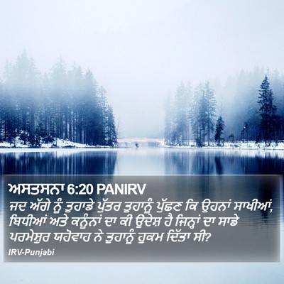 ਅਸਤਸਨਾ 6:20 PANIRV Bible Verse Image