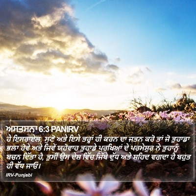 ਅਸਤਸਨਾ 6:3 PANIRV Bible Verse Image