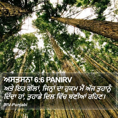 ਅਸਤਸਨਾ 6:6 PANIRV Bible Verse Image