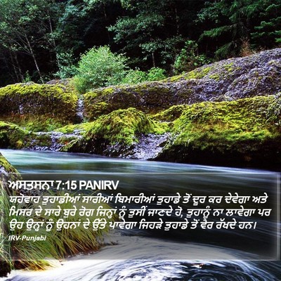 ਅਸਤਸਨਾ 7:15 PANIRV Bible Verse Image