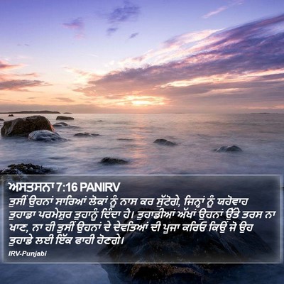 ਅਸਤਸਨਾ 7:16 PANIRV Bible Verse Image