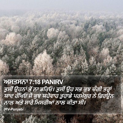 ਅਸਤਸਨਾ 7:18 PANIRV Bible Verse Image