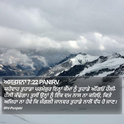 ਅਸਤਸਨਾ 7:22 PANIRV Bible Verse Image