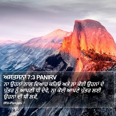 ਅਸਤਸਨਾ 7:3 PANIRV Bible Verse Image