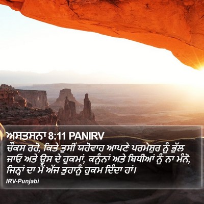 ਅਸਤਸਨਾ 8:11 PANIRV Bible Verse Image