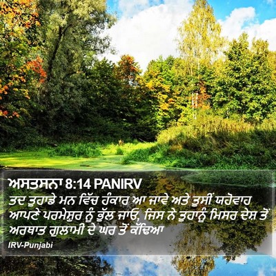 ਅਸਤਸਨਾ 8:14 PANIRV Bible Verse Image