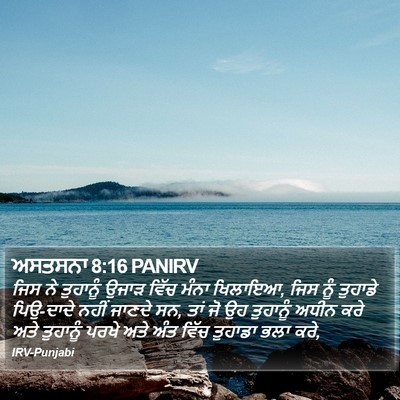 ਅਸਤਸਨਾ 8:16 PANIRV Bible Verse Image