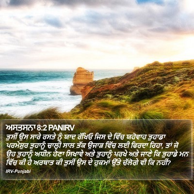ਅਸਤਸਨਾ 8:2 PANIRV Bible Verse Image