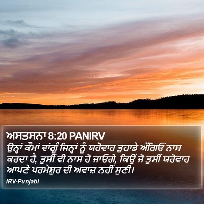 ਅਸਤਸਨਾ 8:20 PANIRV Bible Verse Image