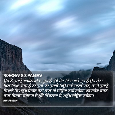 ਅਸਤਸਨਾ 8:3 PANIRV Bible Verse Image