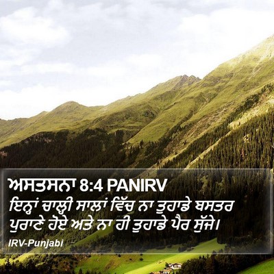 ਅਸਤਸਨਾ 8:4 PANIRV Bible Verse Image