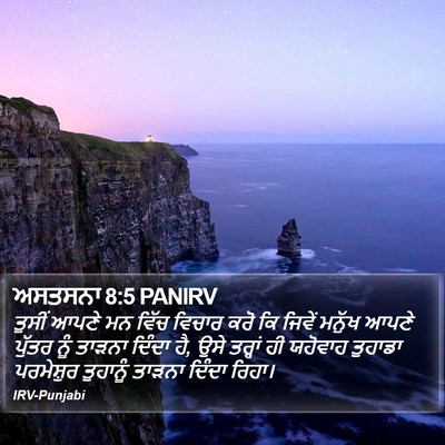 ਅਸਤਸਨਾ 8:5 PANIRV Bible Verse Image