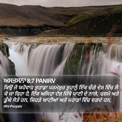 ਅਸਤਸਨਾ 8:7 PANIRV Bible Verse Image