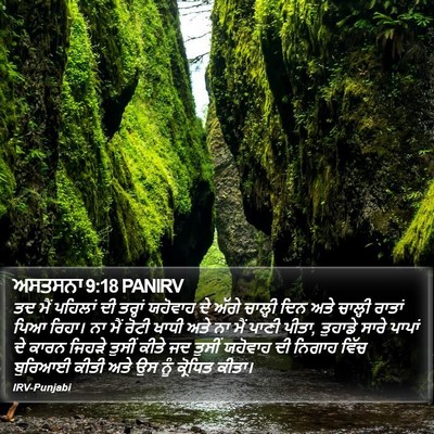ਅਸਤਸਨਾ 9:18 PANIRV Bible Verse Image