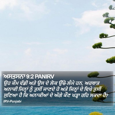 ਅਸਤਸਨਾ 9:2 PANIRV Bible Verse Image
